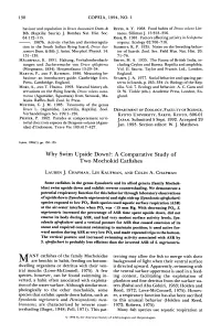 Why Swim Upside Down?: a Comparative Study of Two Mochokid Catfishes
