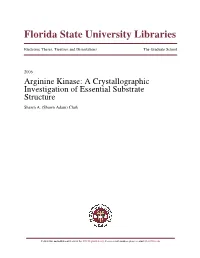 Arginine Kinase: a Crystallographic Investigation of Essential Substrate Structure Shawn A