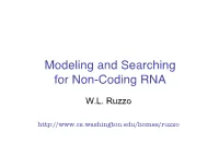 Modeling and Searching for Non-Coding RNA