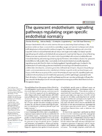 Signalling Pathways Regulating Organ-Specific Endothelial