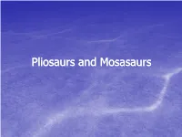 Mosasaurs Continuing from Last Time…