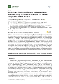 Vertical and Horizontal Trophic Networks in the Aroid-Infesting Insect Community of Los Tuxtlas Biosphere Reserve, Mexico
