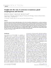Insights Into the Role of Connexins in Mammary Gland Morphogenesis and Function