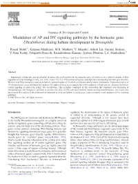 Modulation of AP and DV Signaling Pathways by the Homeotic Gene Ultrabithorax During Haltere Development in Drosophila ⁎ Prasad Mohit , Kalpana Makhijani, M.B