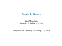 Graphs in Nature