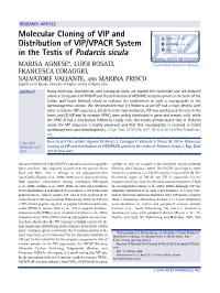 Molecular Cloning of VIP and Distribution of VIP/VPACR System In