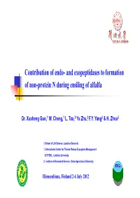 Contribution of Endo- and Exopeptidases to Formation of Non-Protein N During Ensiling of Alfalfa