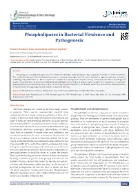 Phospholipases in Bacterial Virulence and Pathogenesis