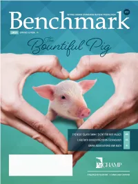 The Next “Black Swan” Event for Hog Values Livestock