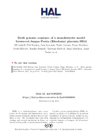 Draft Genome Sequence of a Monokaryotic
