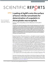 Loading of Agnps Onto the Surface of Boron Nitride Nanosheets For