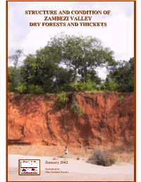 Structure and Condition of Zambezi Valley Dry Forests and Thickets
