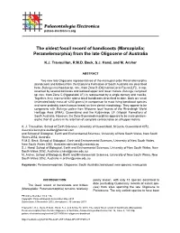 The Oldest Fossil Record of Bandicoots (Marsupialia; Peramelemorphia) from the Late Oligocene of Australia