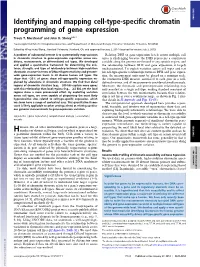 Identifying and Mapping Cell-Type-Specific Chromatin PNAS PLUS Programming of Gene Expression