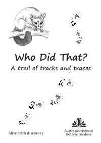 Who Did That? a Trail of Tracks and Traces