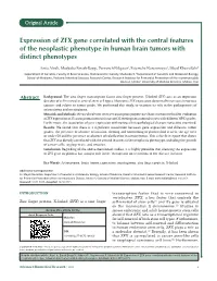 Expression of ZFX Gene Correlated with the Central Features of the Neoplastic Phenotype in Human Brain Tumors with Distinct Phenotypes