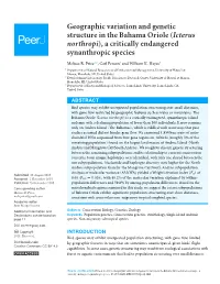 Geographic Variation and Genetic Structure in the Bahama Oriole (Icterus Northropi), a Critically Endangered Synanthropic Species