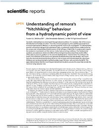 “Hitchhiking” Behaviour from a Hydrodynamic Point of View Yunxin Xu1, Weichao Shi1*, Abel Arredondo‑Galeana1, Lei Mei2 & Yigit Kemal Demirel1