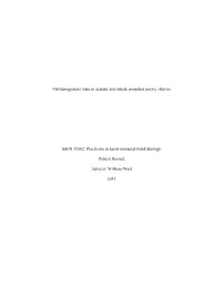 Methanogenesis Rates in Acetate and Nitrate Amended Anoxic Slurries