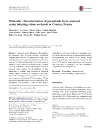 Molecular Characterization of Parasitoids from Armored Scales Infesting Citrus Orchards in Corsica, France