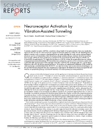 Neuroreceptor Activation by Vibration-Assisted Tunneling