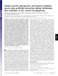 Oviduct-Specific Glycoprotein and Heparin Modulate Sperm–Zona Pellucida Interaction During Fertilization and Contribute to the Control of Polyspermy