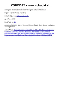 Running Speed and Food Intake of the Matrotrophic Viviparous Cockroach Diploptera Punctata (Blattodea: Blaberidae) During Gestation