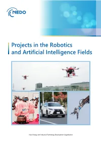 Projects in the Robotics and Artificial Intelligence Fields