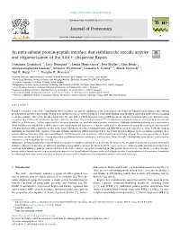 An-Inter.Pdf