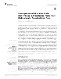Intraoperative Microelectrode Recordings in Substantia Nigra Pars Reticulata in Anesthetized Rats