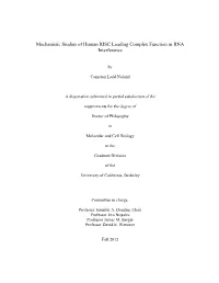 Mechanistic Studies of Human RISC Loading Complex Function in RNA Interference