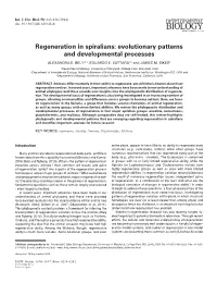 Regeneration in Spiralians: Evolutionary Patterns and Developmental Processes ALEXANDRA E