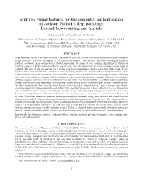 Multiple Visual Features for the Computer Authentication of Jackson Pollock’S Drip Paintings: Beyond Box-Counting and Fractals