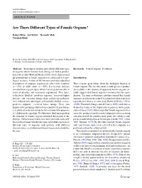 Are There Different Types of Female Orgasm?