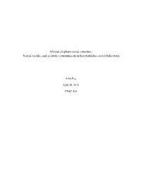 Elephant Behaviour Paper