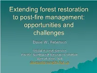 Tree Size and Species Influence Snag Retention Following Severe Wildfire In