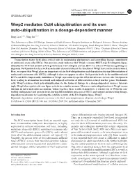Wwp2 Mediates Oct4 Ubiquitination and Its Own Auto-Ubiquitination in a Dosage-Dependent Manner