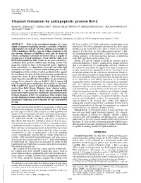 Channel Formation by Antiapoptotic Protein Bcl-2