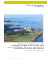 Wylfa Decision Report