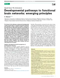 Developmental Pathways to Functional Brain Networks: Emerging Principles