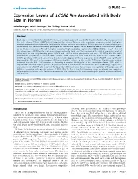 Expression Levels of LCORL Are Associated with Body Size in Horses