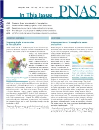 In This Issue