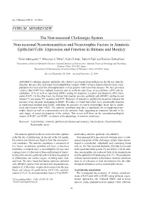 FORUM MINIREVIEW the Non-Neuronal Cholinergic System