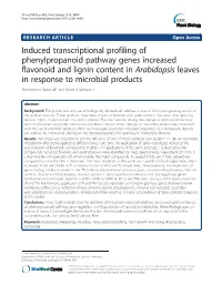 Induced Transcriptional Profiling of Phenylpropanoid Pathway Genes