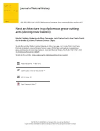 Nest Architecture in Polydomous Grass-Cutting Ants (Acromyrmex Balzani)