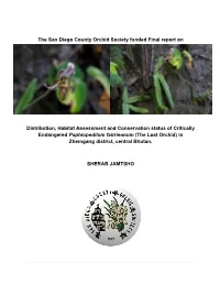 Project Report
