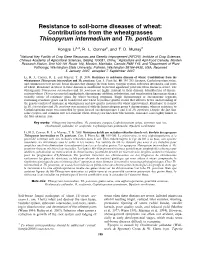 Thinopyrum Intermedium and Th