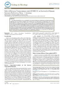 Role of Reverse Transcriptase and APOBEC3G in Survival of Human