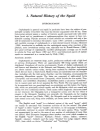 1. Natural History of the Squid