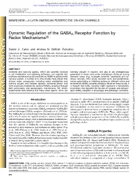 Dynamic Regulation of the GABAA Receptor Function by Redox Mechanisms S